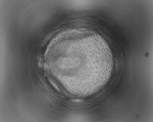 X0000115200755200912091134