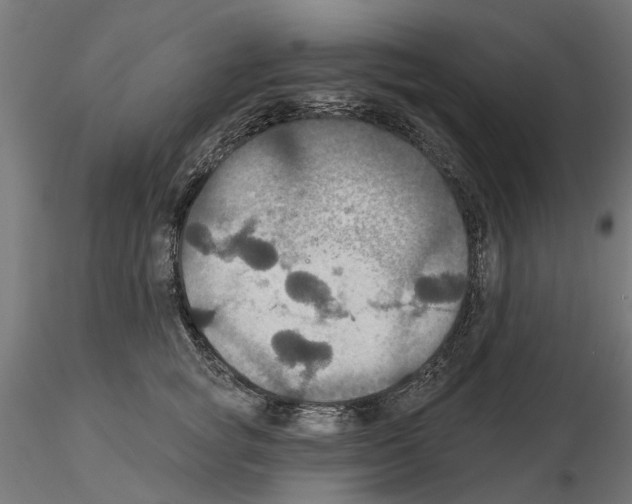 X0000115200757200912091134