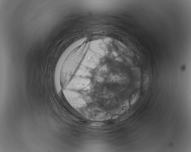 X0000115200758200912091134