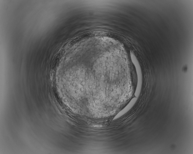 X0000115200759200912091134