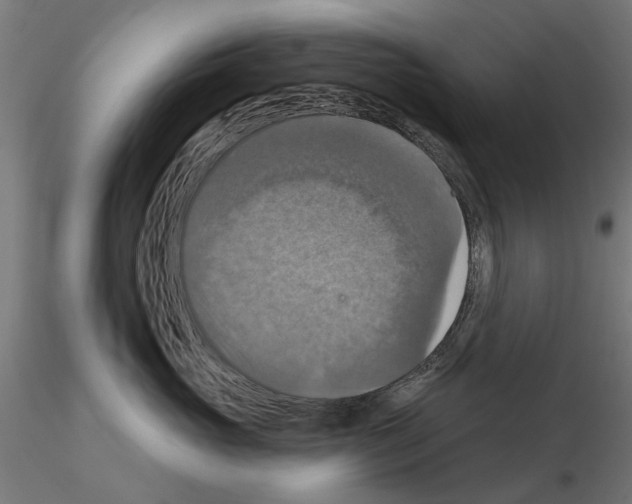 X0000115200765200912091134