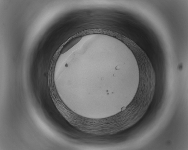 X0000115200766200912091134