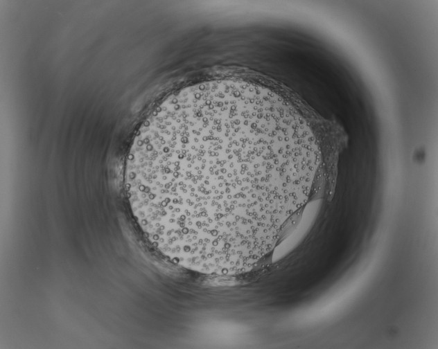 X0000115200767200912091134