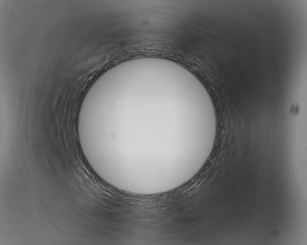 X0000115200769200912091134