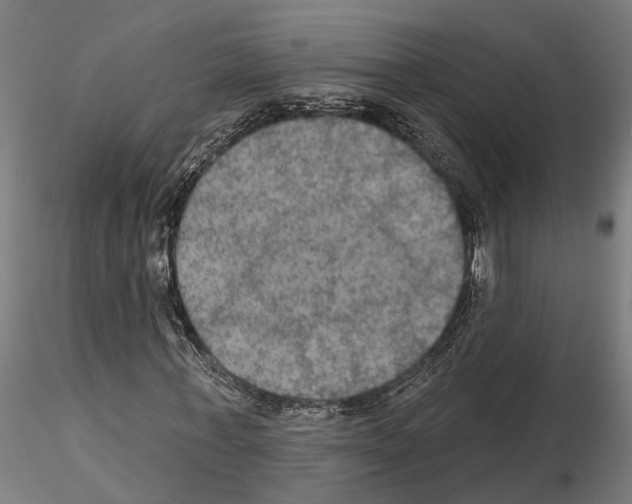 X0000115200771200912091134