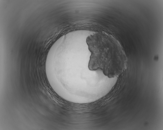 X0000115200772200912091134