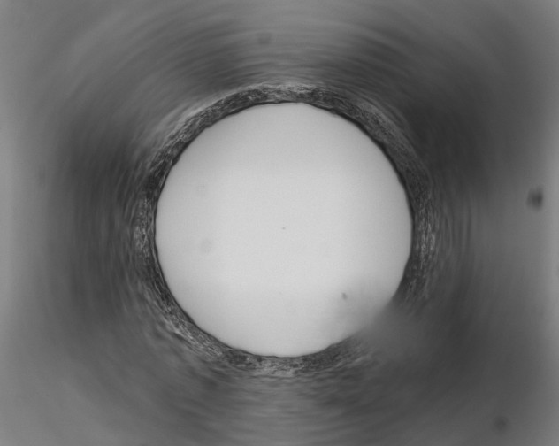 X0000115200773200912091134