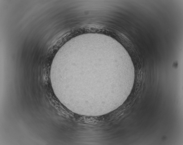 X0000115200774200912091134