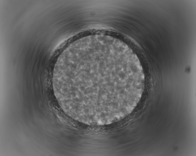 X0000115200775200912091134