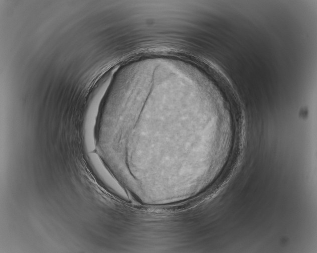 X0000115200777200912091134