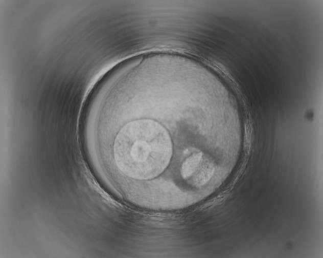 X0000115200780200912091134