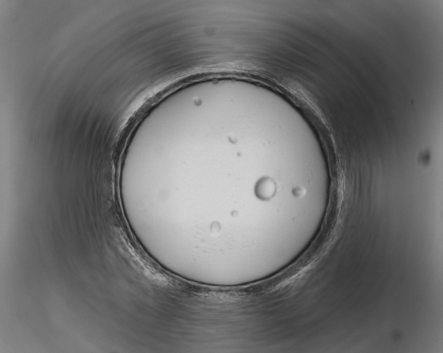 X0000115200781200912091134