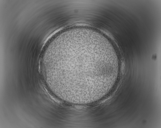 X0000115200782200912091134