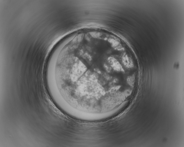 X0000115200783200912091134