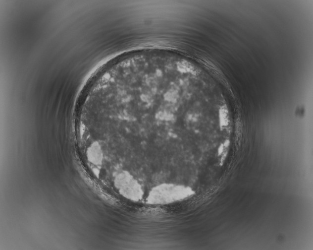 X0000115200784200912091134