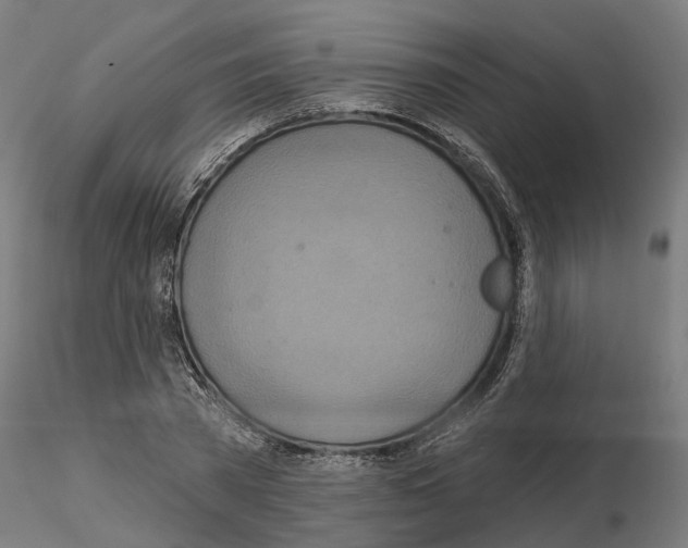 X0000115200785200912091134