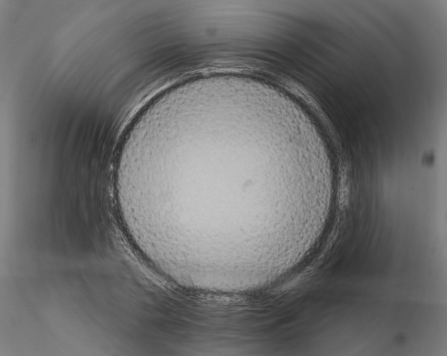 X0000115200786200912091134