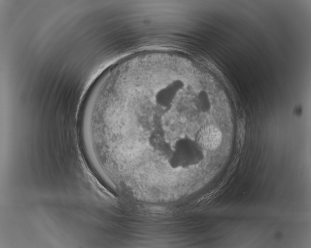 X0000115200787200912091134