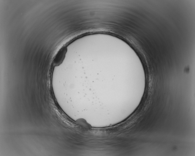 X0000115200789200912091134