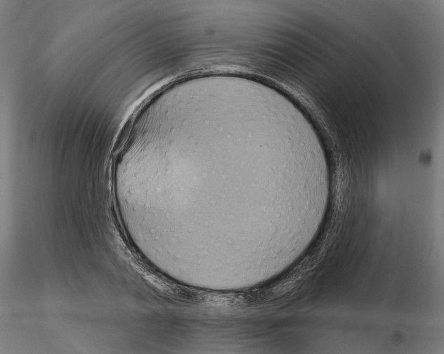 X0000115200790200912091134