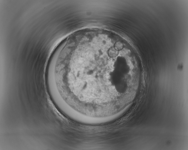 X0000115200791200912091134