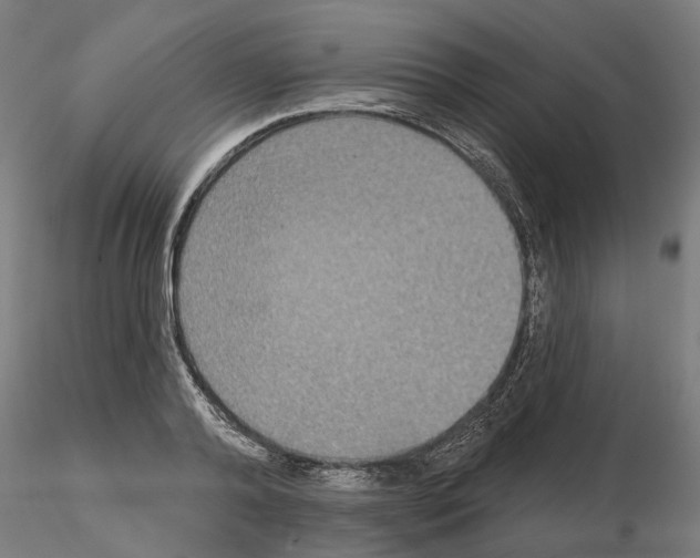 X0000115200792200912091134