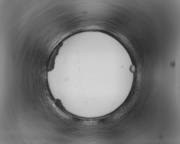 X0000115200793200912091134