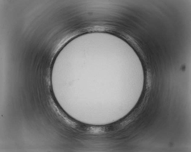 X0000115200794200912091134