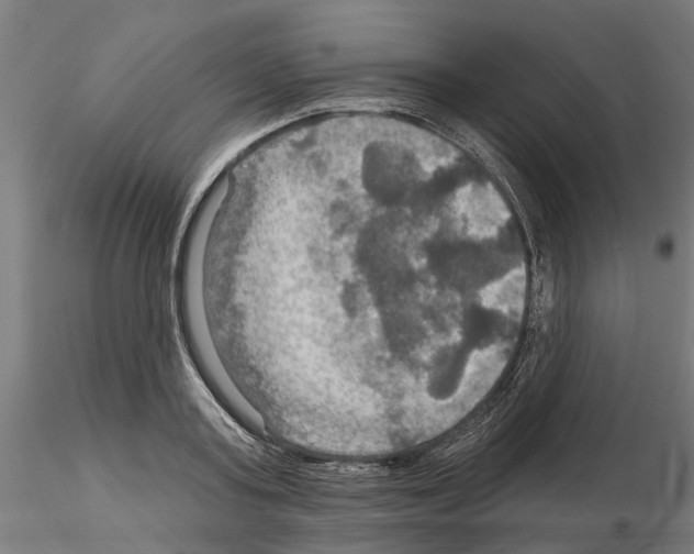 X0000115200795200912091133