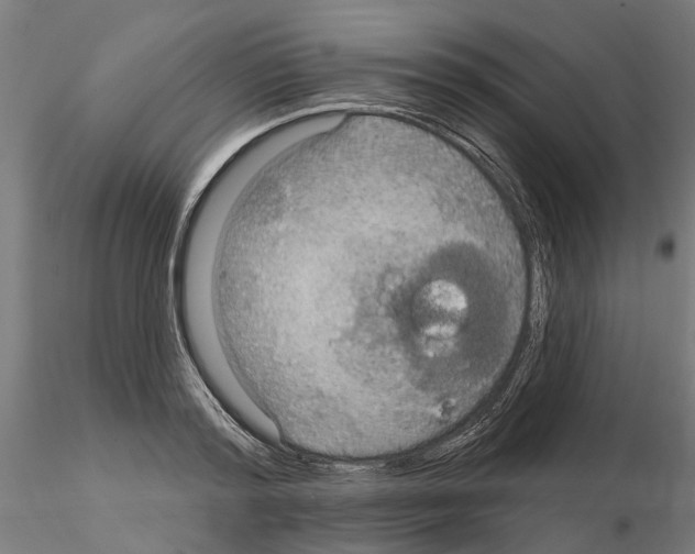 X0000115200796200912091133