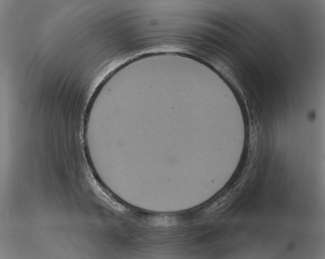 X0000115200797200912091133