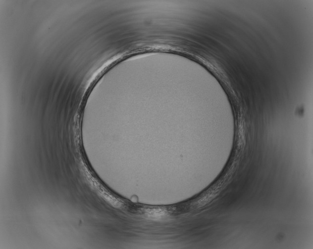 X0000115200798200912091133