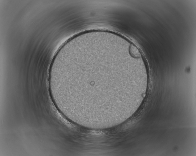 X0000115200799200912091133