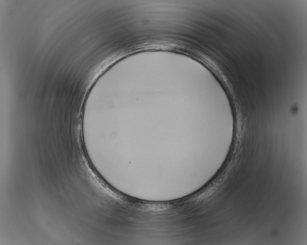 X0000115200802200912091133