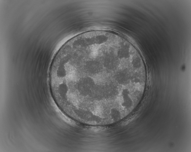 X0000115200803200912091133