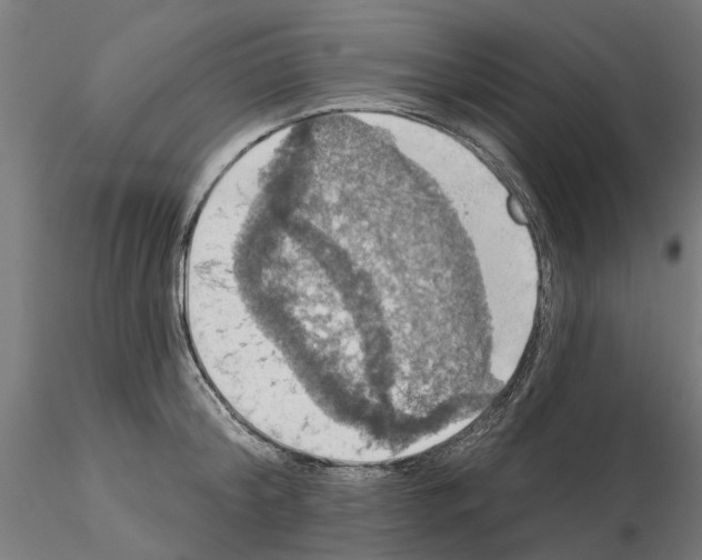 X0000115200804200912091133