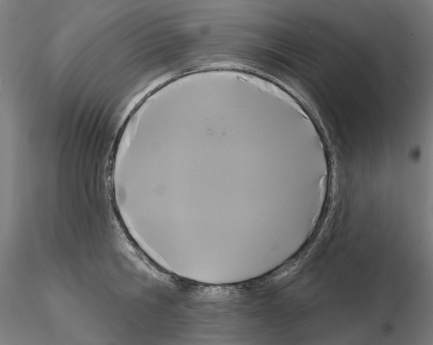 X0000115200806200912091133