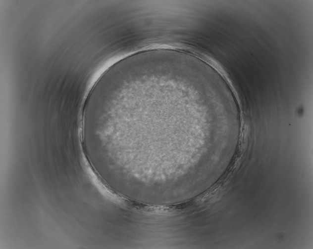 X0000115200811200912091133