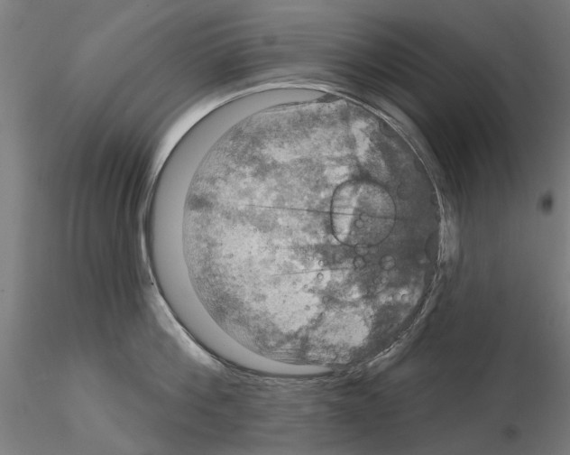 X0000115200812200912091133