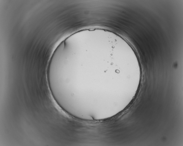 X0000115200813200912091133