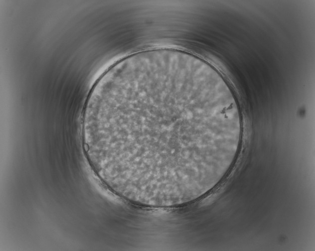 X0000115200814200912091133