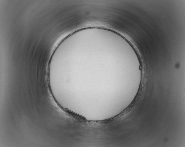 X0000115200815200912091133