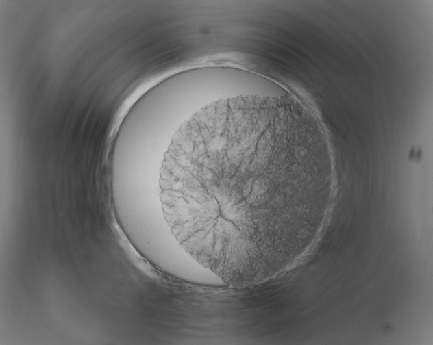 X0000115200816200912091133