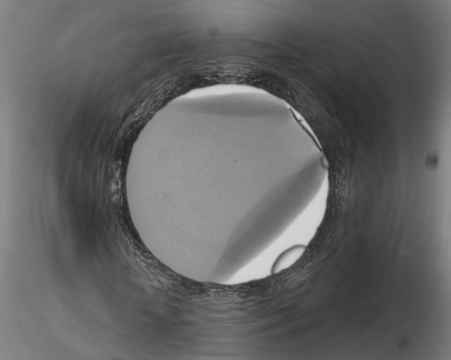 X0000115200818200912091132