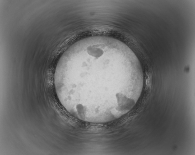 X0000115200819200912091132