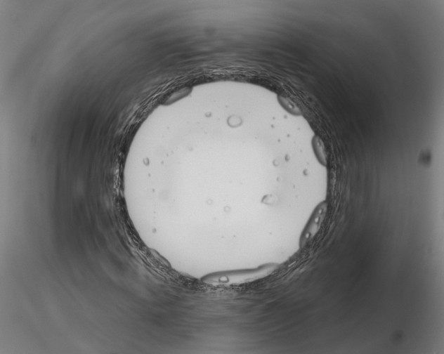 X0000115200820200912091132