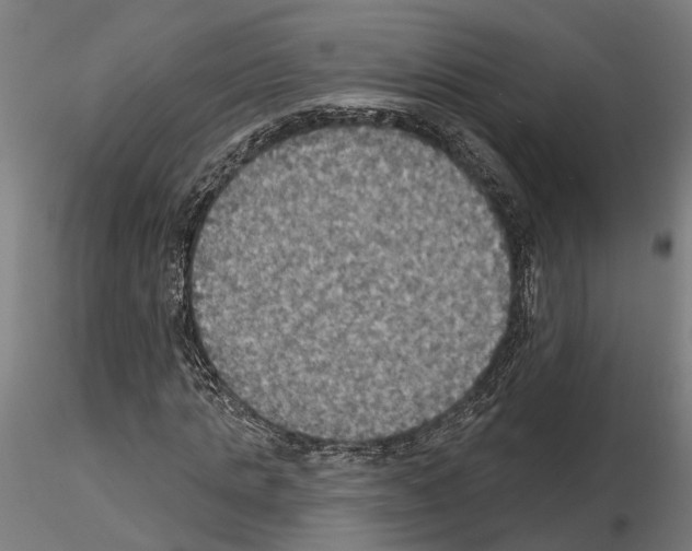 X0000115200821200912091132