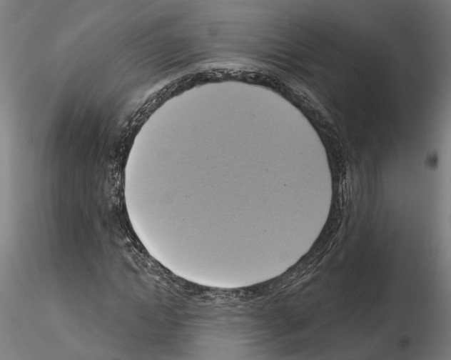 X0000115200822200912091132