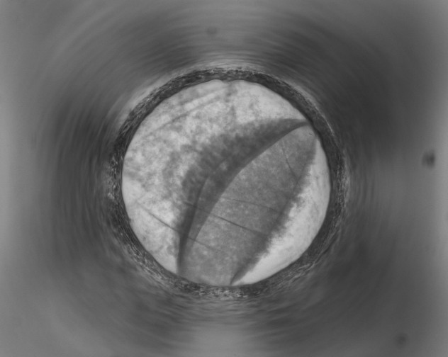 X0000115200823200912091132