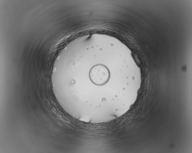 X0000115200824200912091132